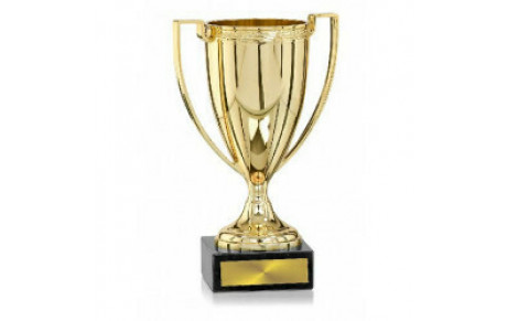 EN ROUTE POUR LA FINALE